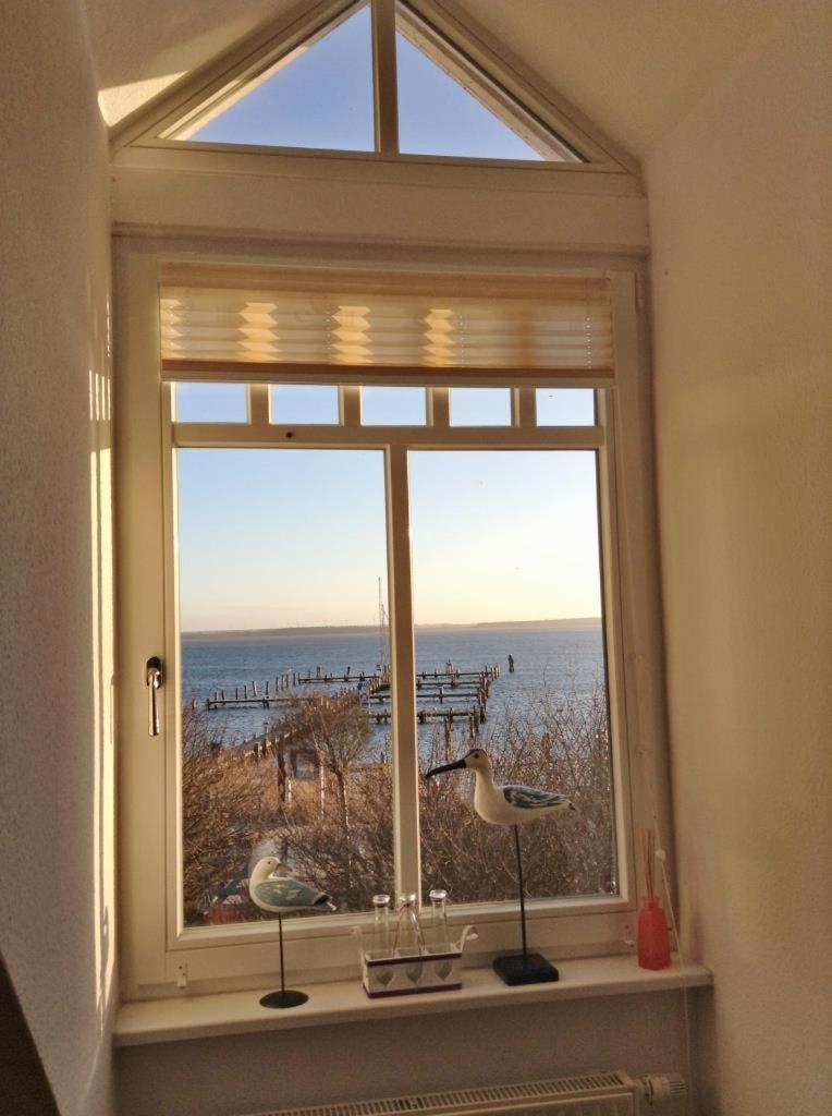Fewo 27 Strandnahe Ferienwohnung Marlyn Rerik Εξωτερικό φωτογραφία