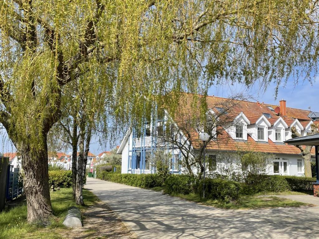 Fewo 27 Strandnahe Ferienwohnung Marlyn Rerik Εξωτερικό φωτογραφία
